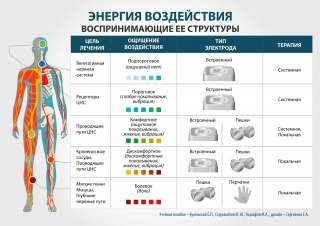 СКЭНАР-1-НТ (исполнение 01)  в Кирове купить Медицинский интернет магазин - denaskardio.ru 