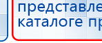 СКЭНАР-1-НТ (исполнение 02.2) Скэнар Оптима купить в Кирове, Аппараты Скэнар купить в Кирове, Медицинский интернет магазин - denaskardio.ru